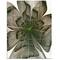 Designart - Symmetrical Green Fractal Flower - Floral Canvas Art Print